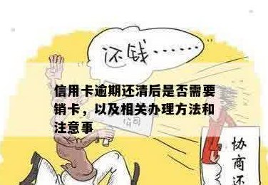 信用卡还款后是否需要注销？如何处理注销相关问题？