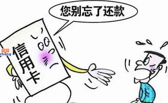 逾期还款策略：如何合理偿还信用卡本金并减少利息支出