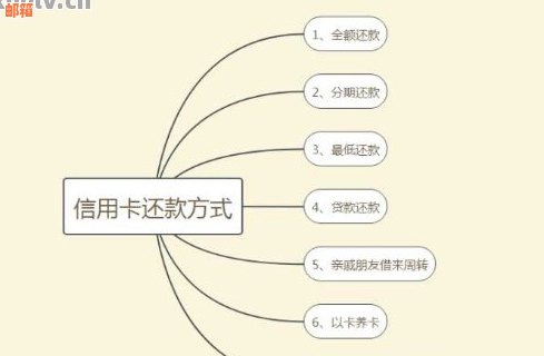 信用卡还款频率管理：策略、技巧与实践