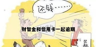 财智金可以用来还信用卡