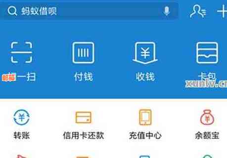 支付宝信用卡还款未到账怎么办？解决常见疑问及处理方法