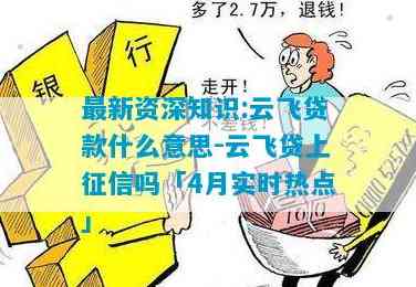 瑞安市飞云金融服务：专业贷款解决方案