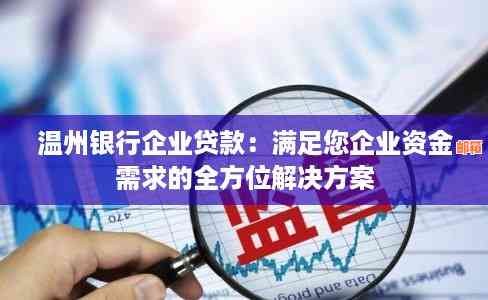 瑞安市飞云金融服务：专业贷款解决方案