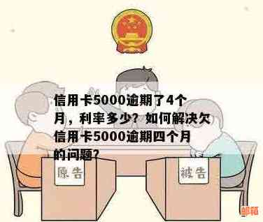 如何解决逾期信用卡欠款5000元的问题，不再烦恼不上怎么办？