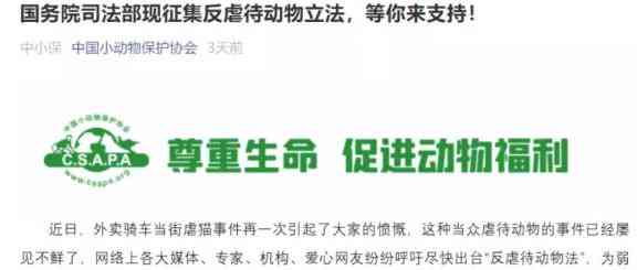 全面解析：信用卡自动代还返佣平台的真相与使用注意事项，确保用户权益