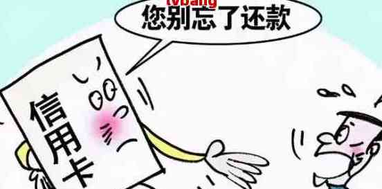 被判无期刑后欠的信用卡怎么办