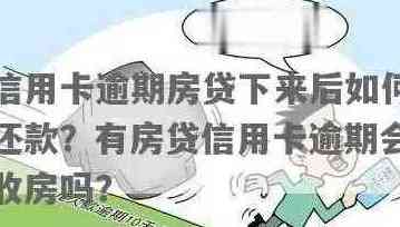 几张信用卡怎么循环还房贷