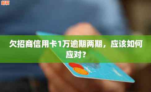 尿症患者如何应对欠信用卡三十万的困境：全面解决方法与建议