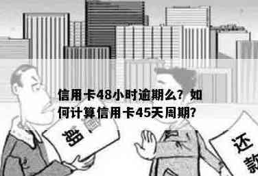 信用卡说24小时必须还