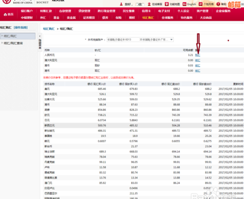 '印尼什么银行支持国内汇款业务？'