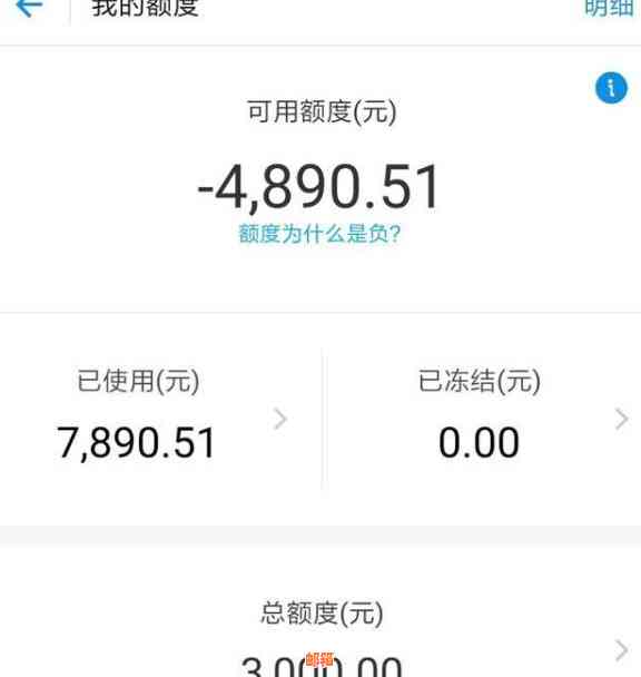 花呗怎么还款用信用卡还