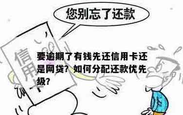 如何权：先偿还网贷还是信用卡？分析还款优先级及策略