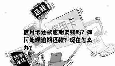 还信用卡要钱吗怎么办