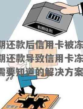 信用卡欠款被冻结：解决方案、影响与应对策略