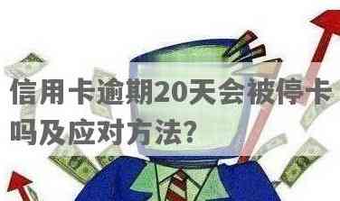 信用卡20日到期21日还能用吗：到期后如何应对及使用建议