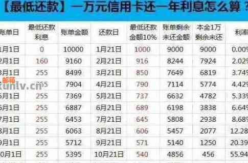 信用卡还款策略：何时选择更低还款额度最为合适？