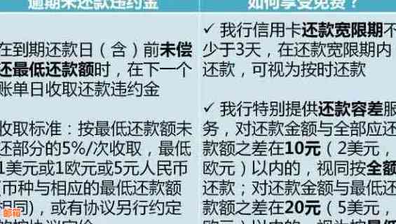 信用卡还款逾期后如何补救？建行用户必看解决方案全面解析