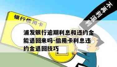 浦发银行小金卡还款信用卡到账时间及处理流程全解析