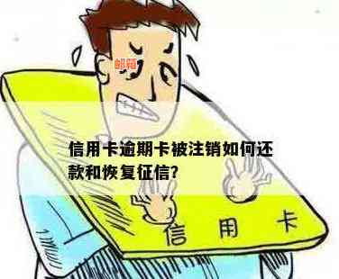 还清信用卡后多久恢复及注销方式