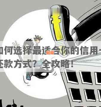 还信用卡相关软件指南：如何选择合适的工具以及操作步骤详解