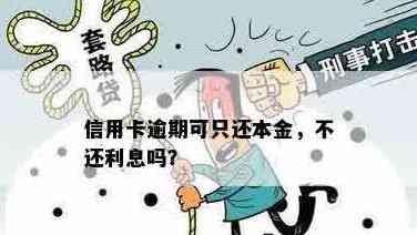 信用卡逾期还款：本金优先还是利息优先？是否可以不还利息？