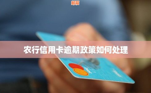 农行信用卡还款后仍显示欠款，怎么办？了解常见原因及解决办法