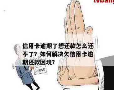 信用卡还款难题：无法借款如何按时还清信用卡欠款