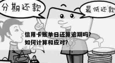 信用卡账单日还款攻略：如何避免逾期、提高信用评分，以及更多实用建议