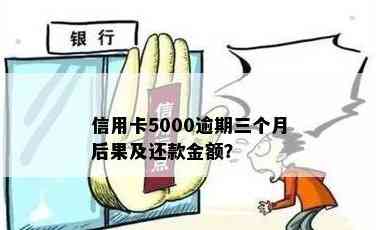 三年未还款5000元信用卡：处理方式与后果分析