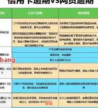 信用卡还款后信息更新时间及影响因素全解析