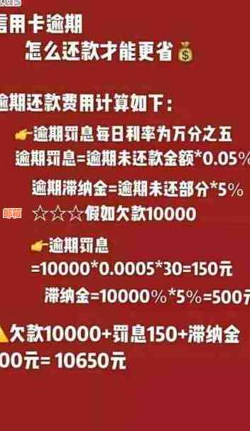 易臻宝信用卡还款攻略：如何按月还清本金和利息，避免逾期？