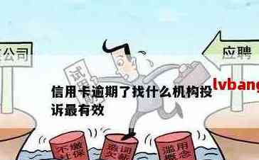 姐姐的信用卡逾期问题：我是否应该介入？