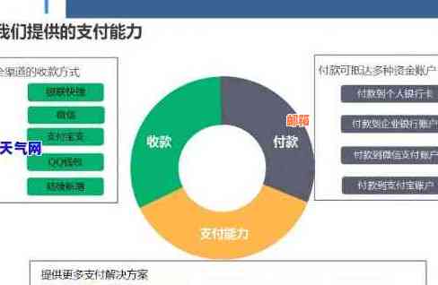 一站式解决方案：轻松管理花呗、借呗和信用卡，解决用户还款难题