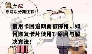 信用卡还款后被停用：原因、解决办法及预防措