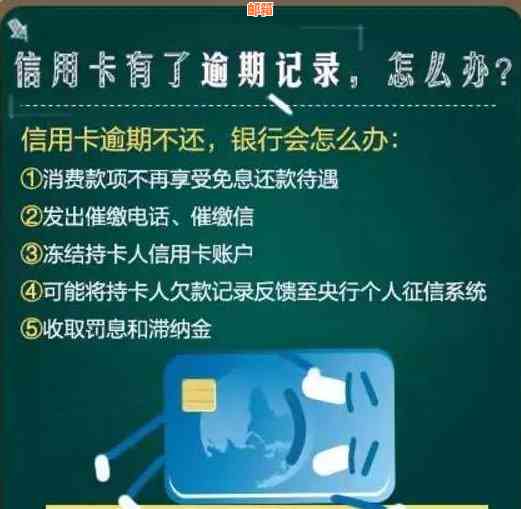 信用卡还款相关法律法规及政策解读，全面了解还款规定与注意事项