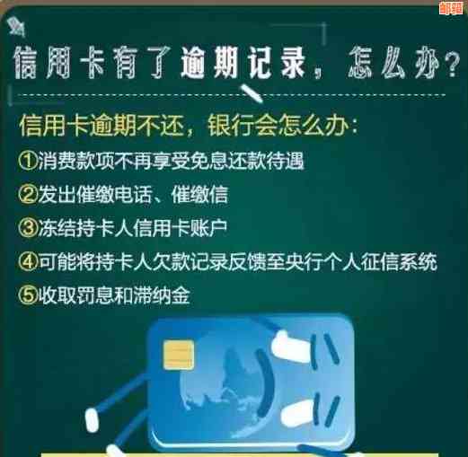 2021年信用卡逾期2天：原因、影响与解决策略全面解析