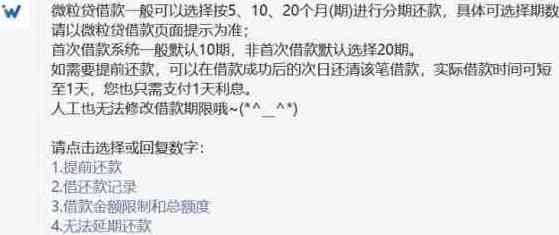 使用信用卡借款还款微粒贷：可行的方案与注意事项