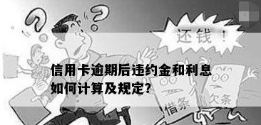 如何计算信用卡违约金：详细指南及常见情况解析