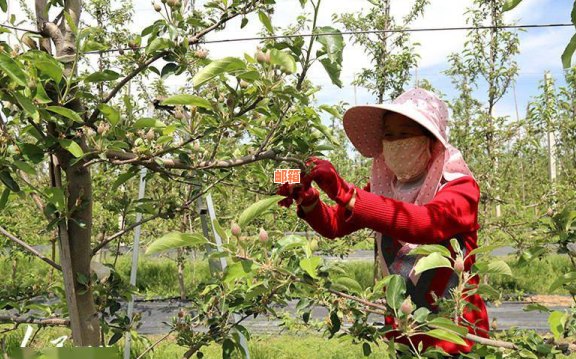 庆阳西峰区信用卡垫还款服务，助您摆脱逾期困扰