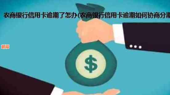 农商银行信用卡还款逾期后果及解决方法大揭秘：我该怎么做？