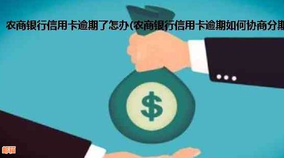 农商银行信用卡忘了还